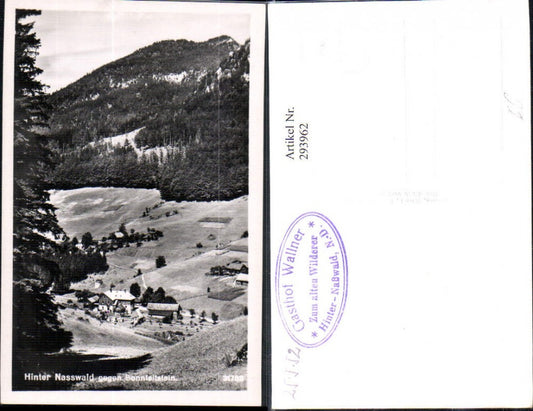 293962,Naßwald Schwarzau Gasthof Wallner geg. Sonnleitenstein