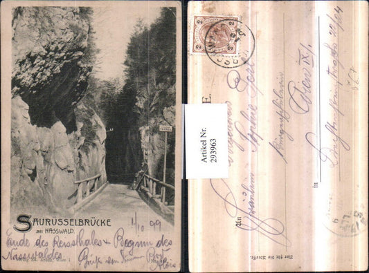 293963,Naßwald Schwarzau Saurüsselbrücke Brücke