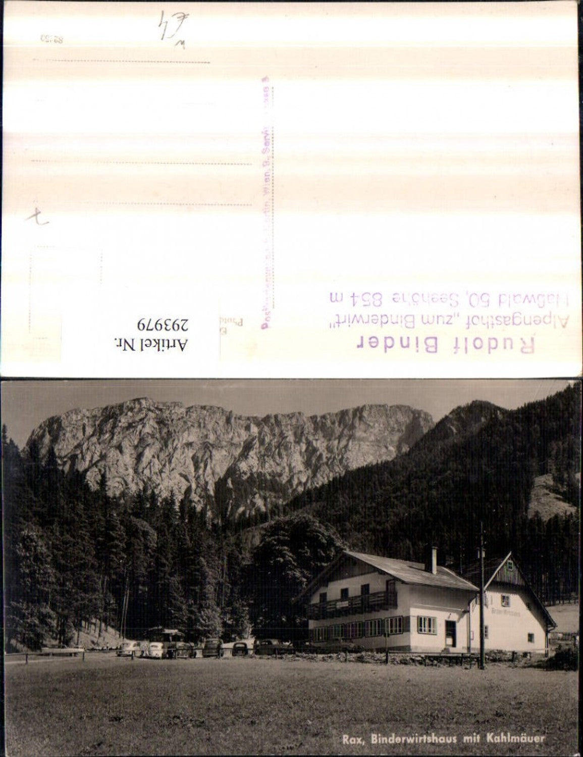 293979,Naßwald Schwarzau Binder-Wirtshaus m. Kahlmäuer d. Rax Bergkulisse