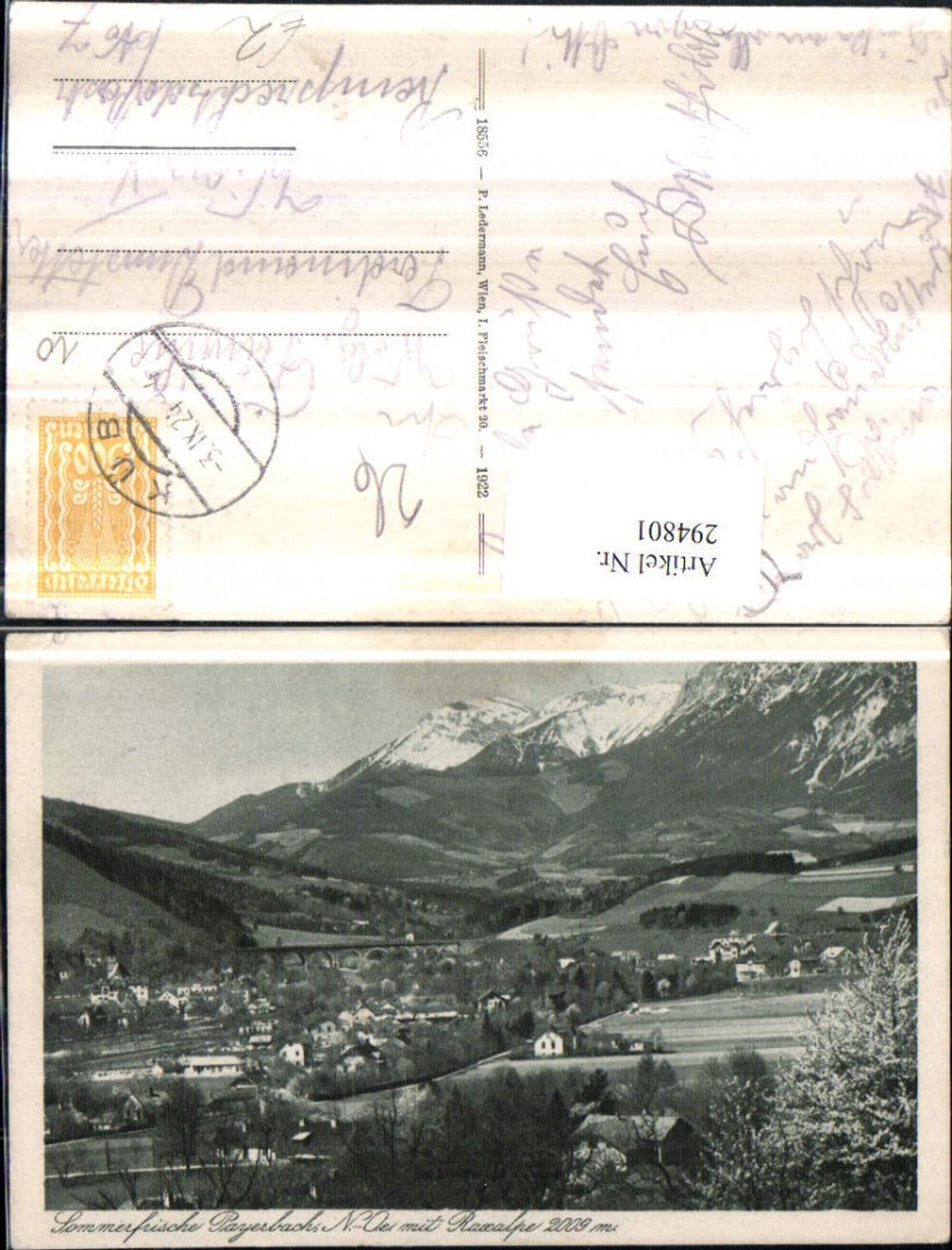294801,Payerbach Totale m. Raxalpe Bergkulisse