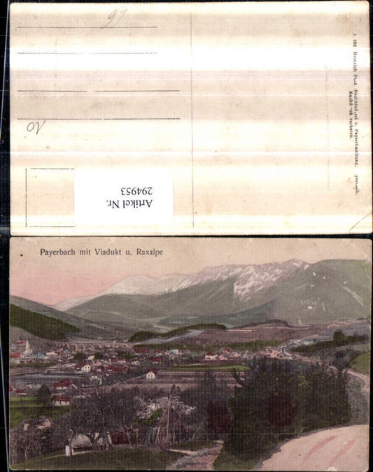 294953,Payerbach Totale m. Viadukt u. Raxalpe Bergkulisse