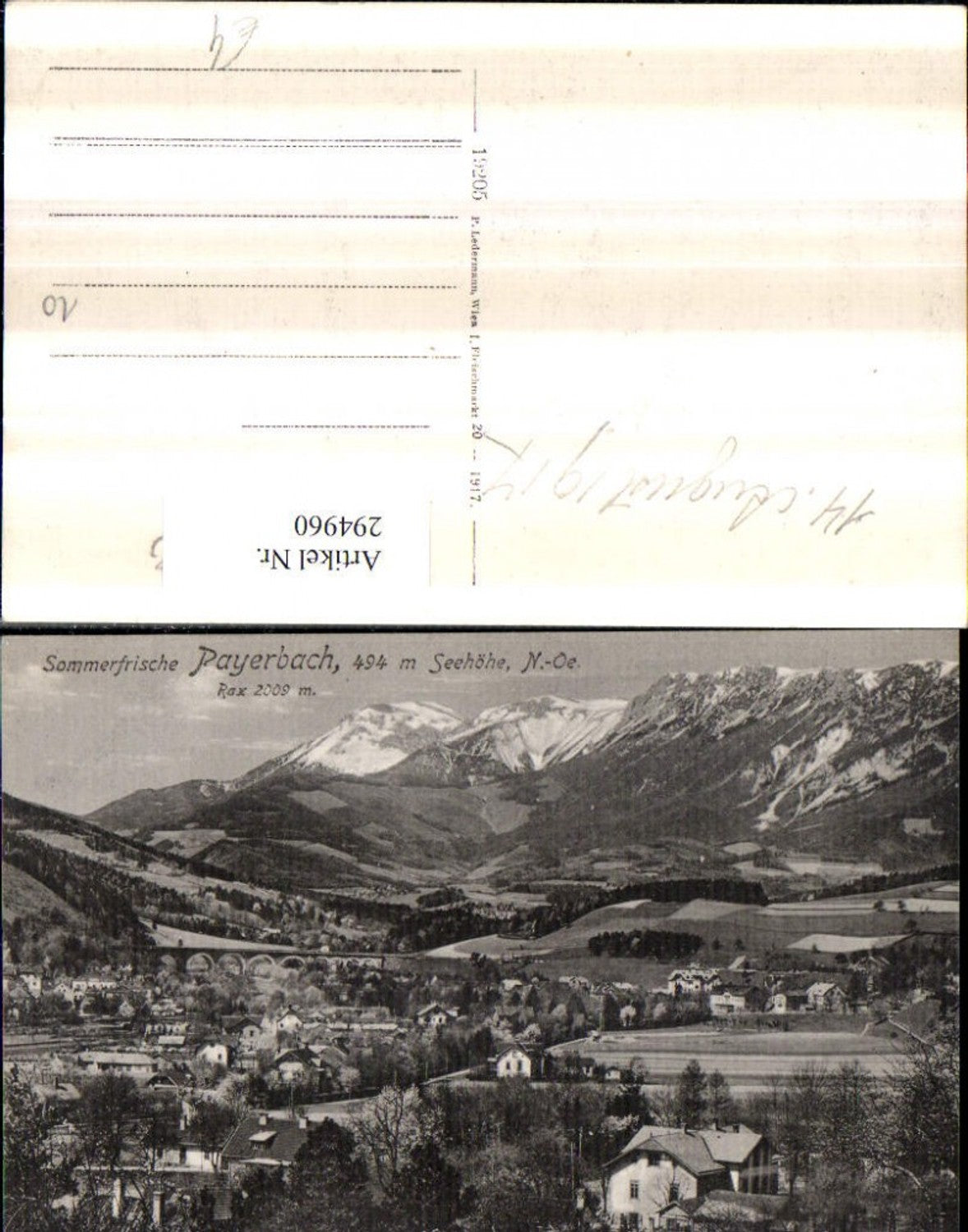 294960,Payerbach Totale m. Rax Bergkulisse