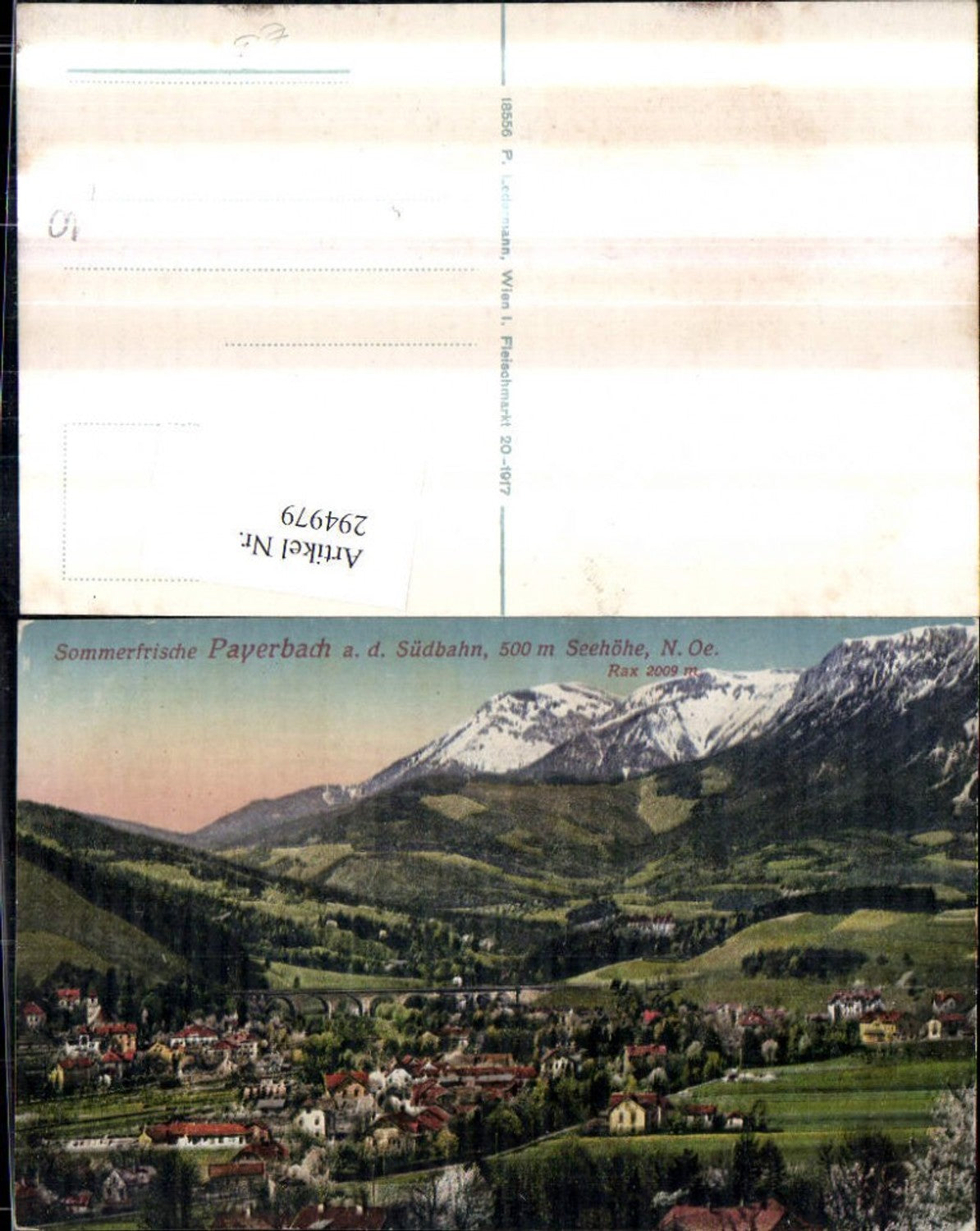 294979,Payerbach an d. Südbahn Totale m. Rax Bergkulisse