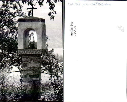 295593,Foto Greinerhof b. Edlach Bildstock