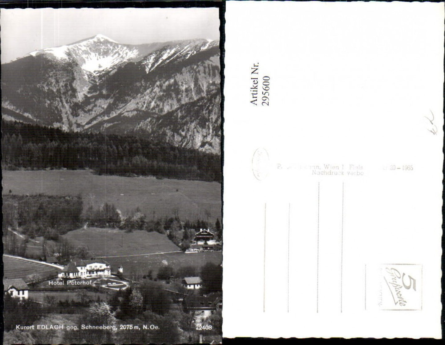 295600,Edlach Hotel Peterhof geg. Schneeberg Bergkulisse