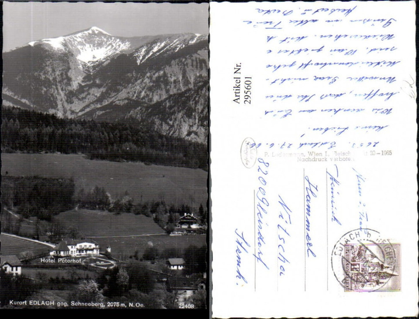 295601,Edlach Hotel Peterhof geg. Schneeberg Bergkulisse