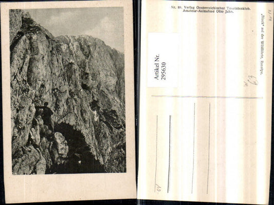 295630,Raxalpe Block auf d. Wildfährte Bergkulisse b. Naßwald Bergsteiger