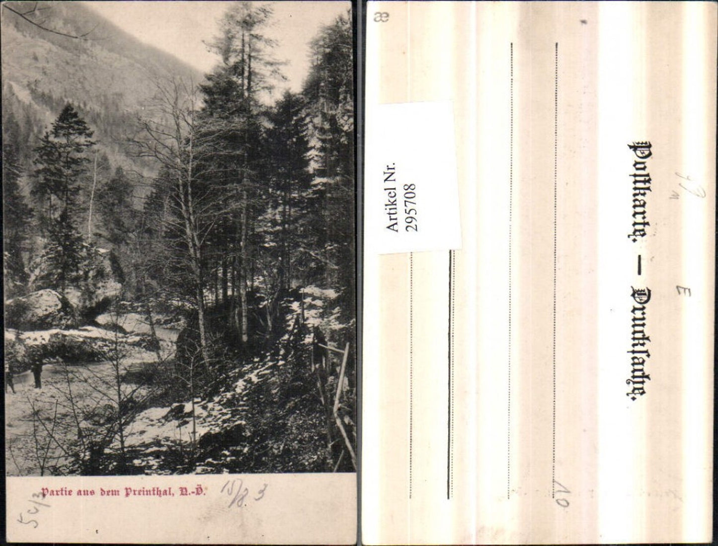 295708,Partie aus dem Preinthal Tal Partie b. Prein an d. Rax