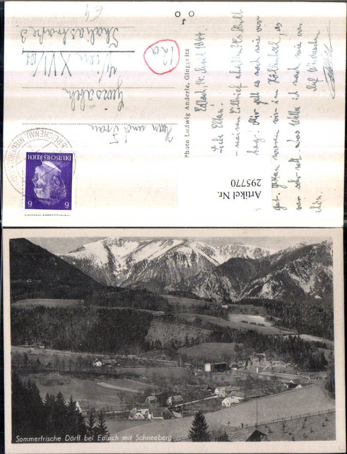 295770,Dörfl b. Edlach Totale m. Schneeberg Bergkulisse