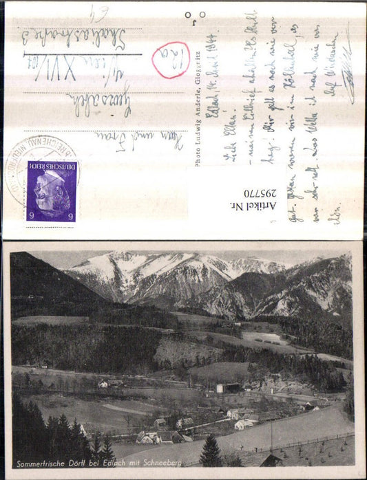 295770,Dörfl b. Edlach Totale m. Schneeberg Bergkulisse