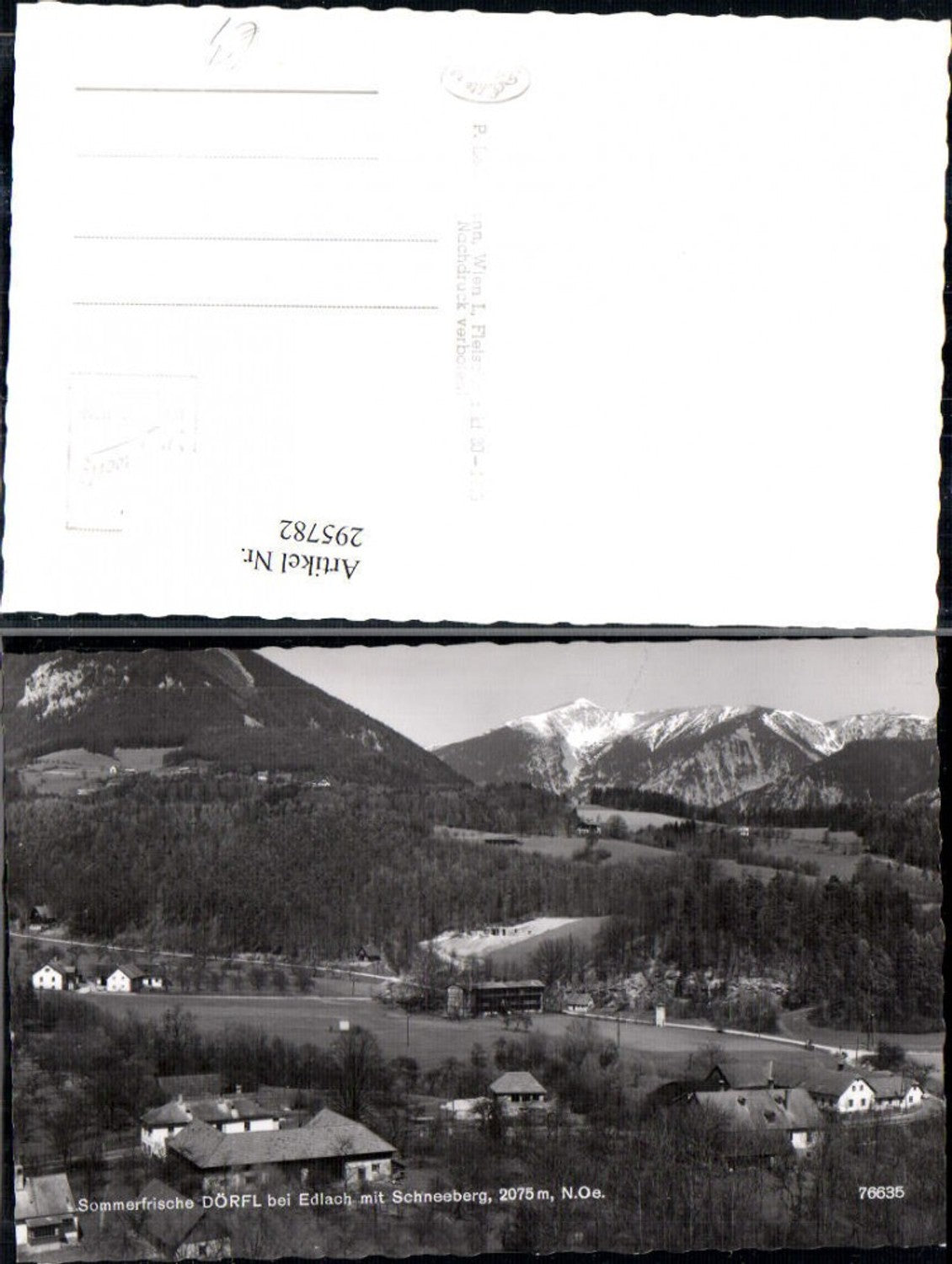 295782,Dörfl b. Edlach Totale m. Schneeberg Bergkulisse