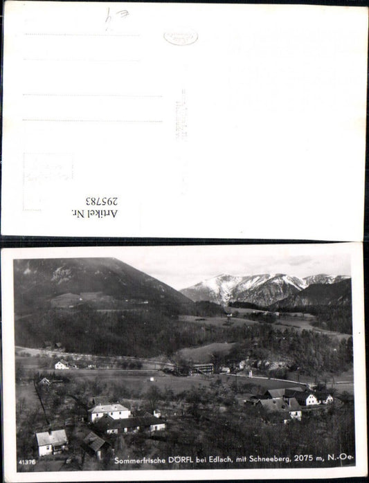 295783,Dörfl b. Edlach Totale m. Schneeberg Bergkulisse
