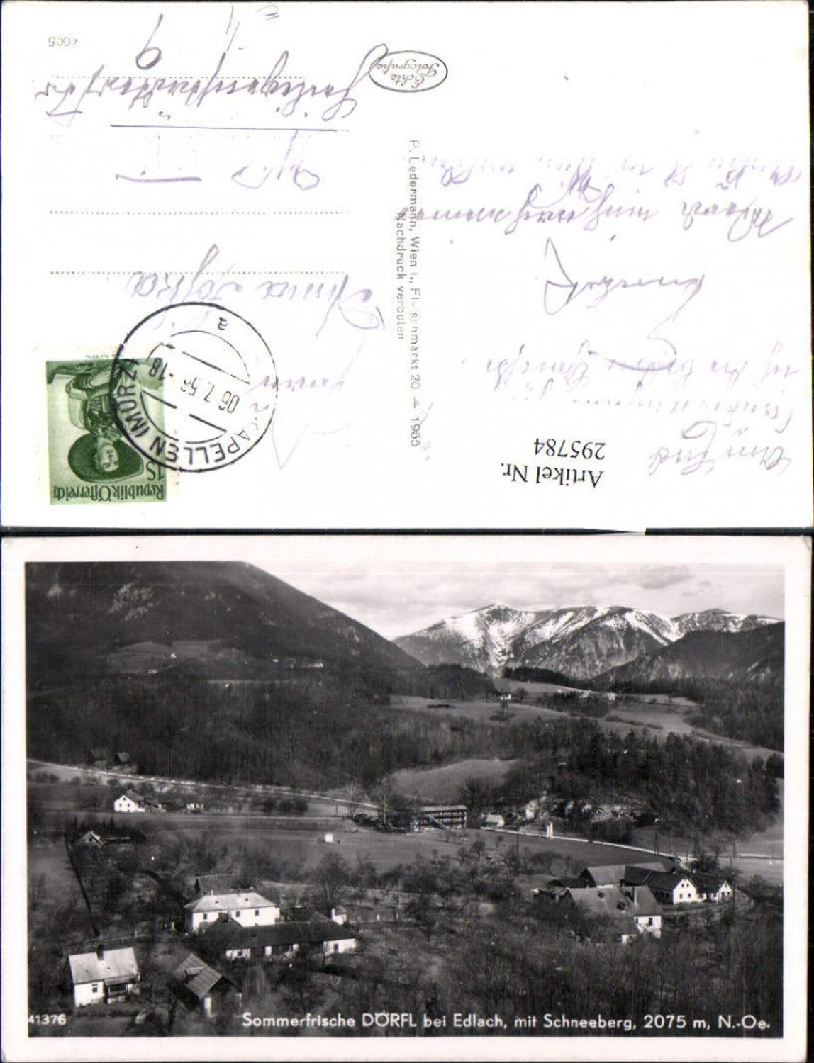 295784,Dörfl b. Edlach Totale m. Schneeberg Bergkulisse