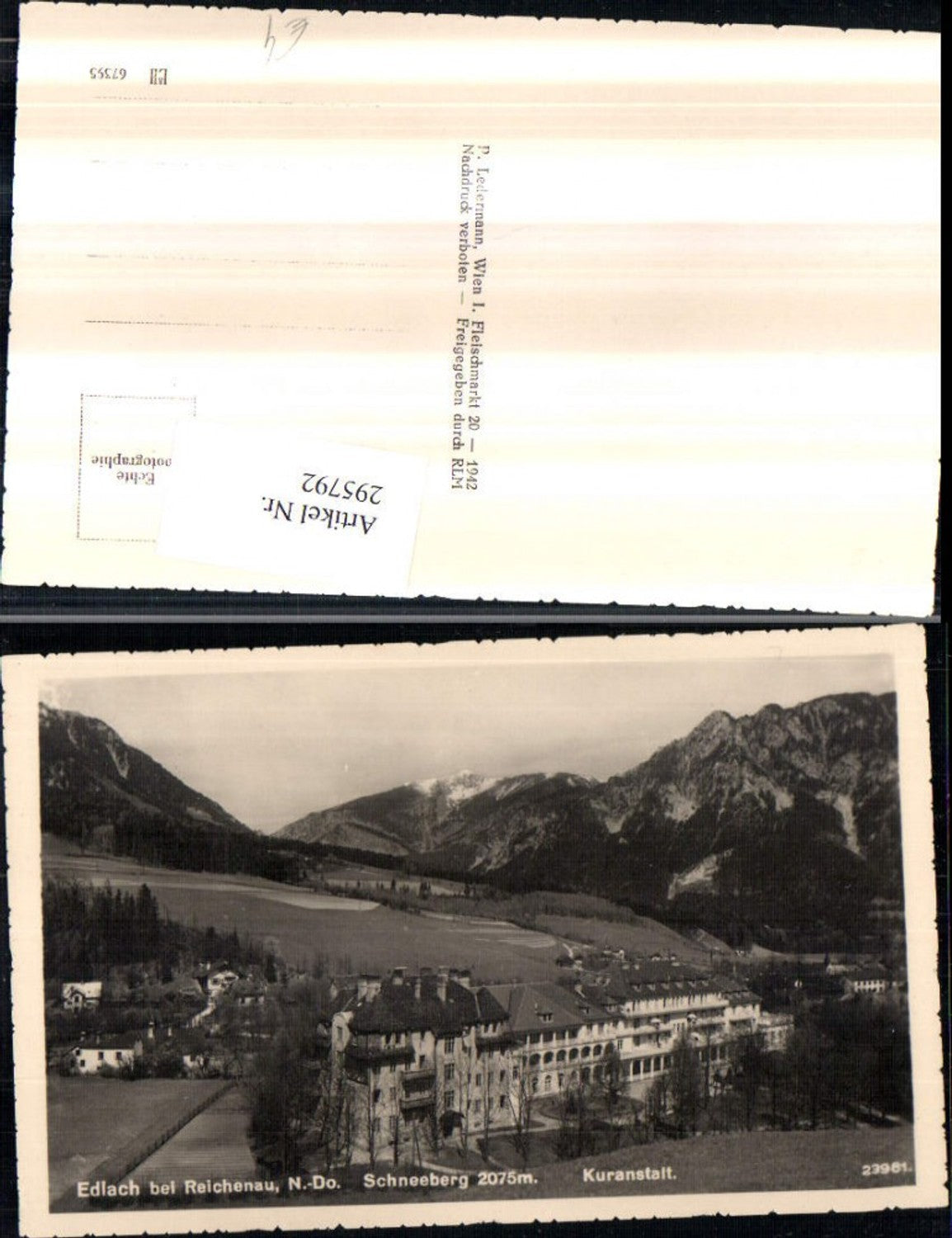 295792,Edlach b. Reichenau an d. Rax Kuranstalt m. Schneeberg Bergkulisse