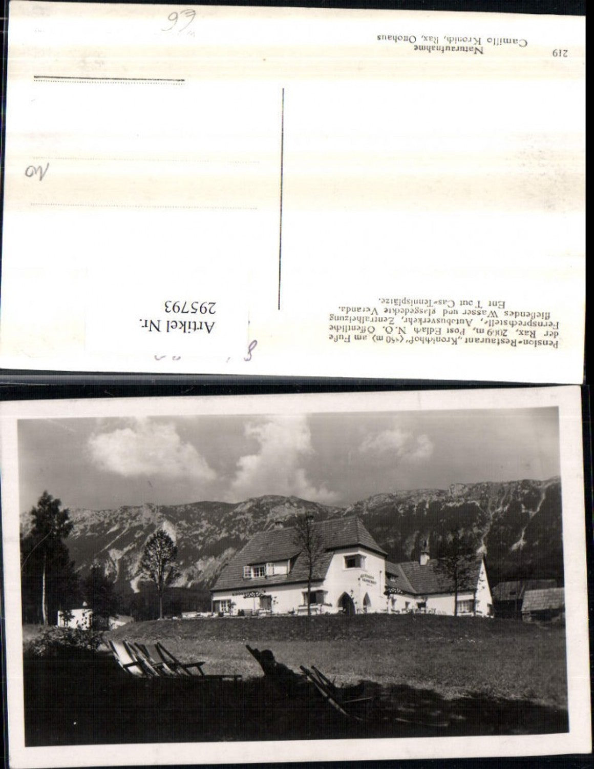 295793,Pension Restaurant Kronichhof b. Edlach an d. Rax Bergkulisse