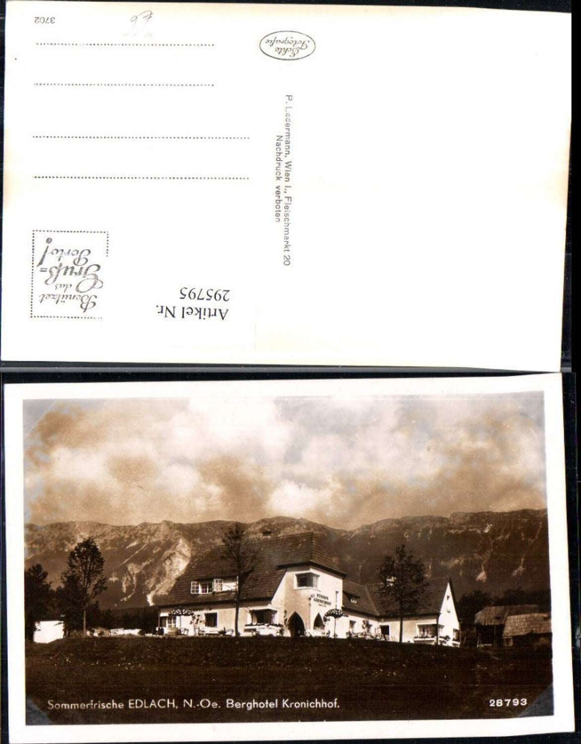 295795,Edlach an d. Rax Berghotel Kronichhof Bergkulisse