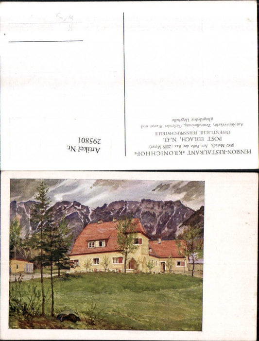 295801,Künstler AK Pension Restaurant Kronichhof b. Edlach an d. Rax Bergkulisse