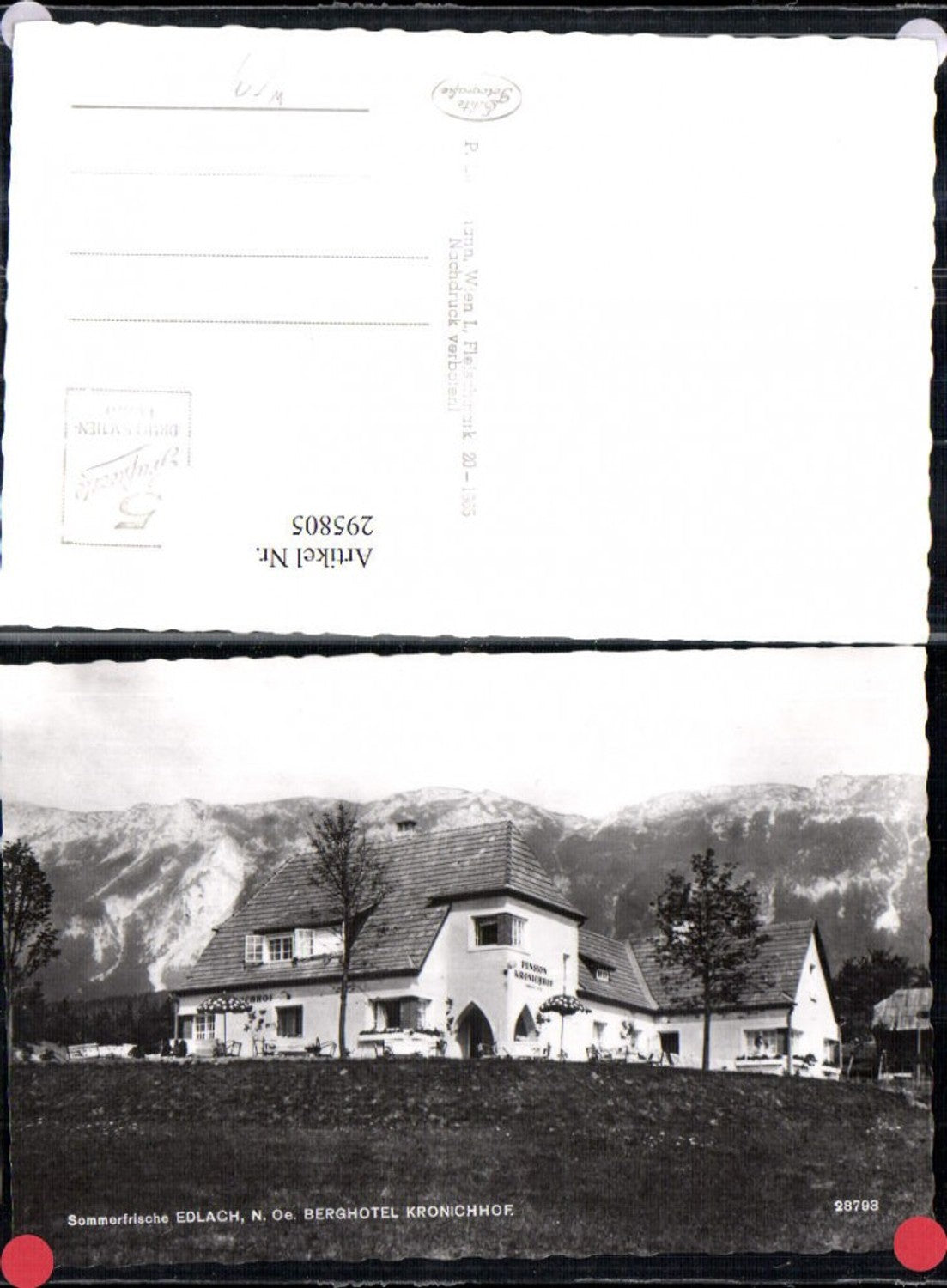 295805,Edlach an d. Rax Berghotel Kronichhof Bergkulisse