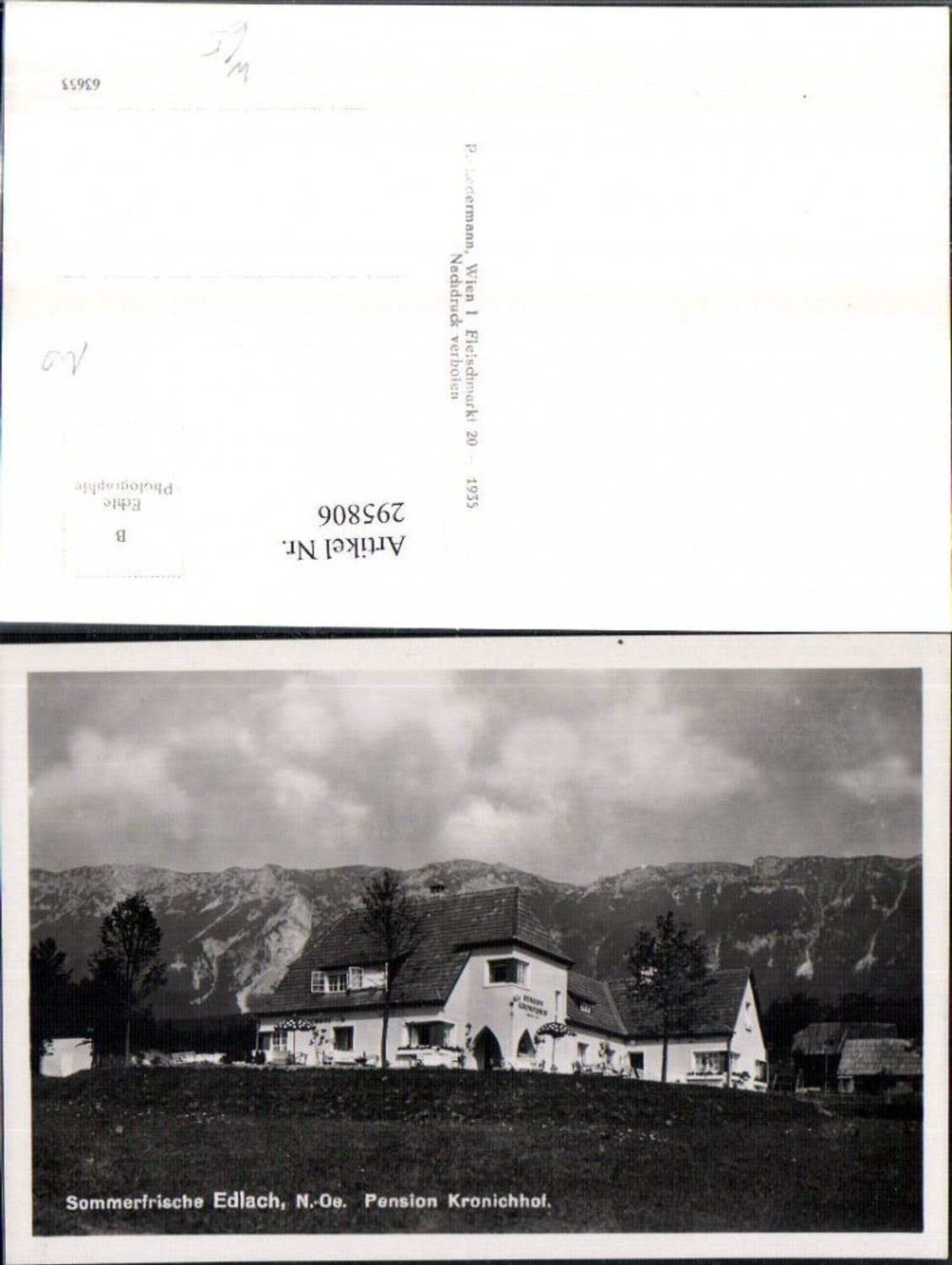 295806,Edlach an d. Rax Pension Kronichhof Bergkulisse