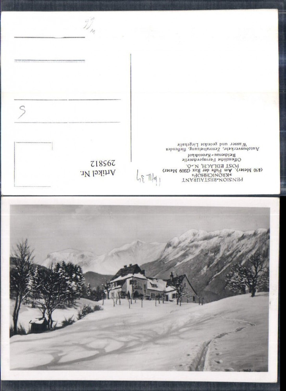 295812,Pension Restaurant Kronichhof b. Edlach an d. Rax Bergkulisse Winterbild