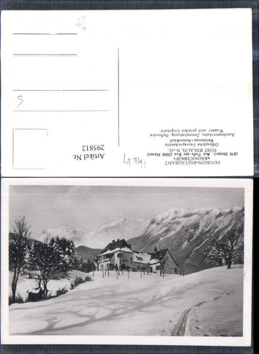 295812,Pension Restaurant Kronichhof b. Edlach an d. Rax Bergkulisse Winterbild
