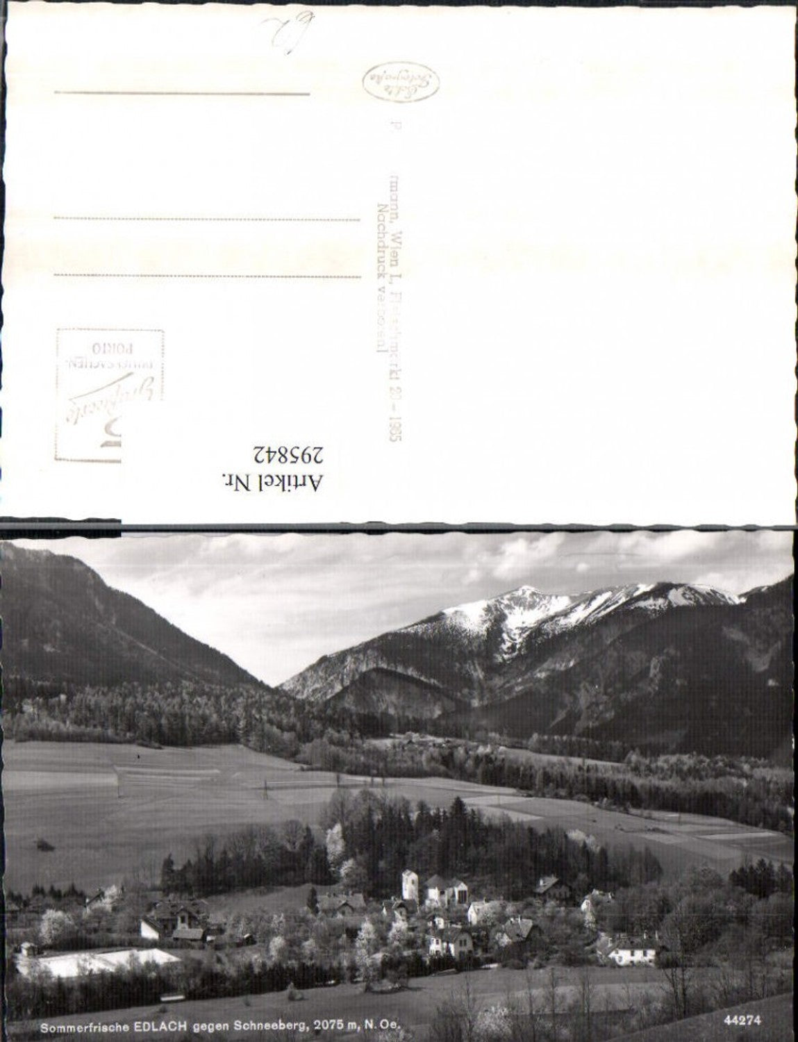 295842,Edlach an d. Rax Totale geg. Schneeberg Bergkulisse