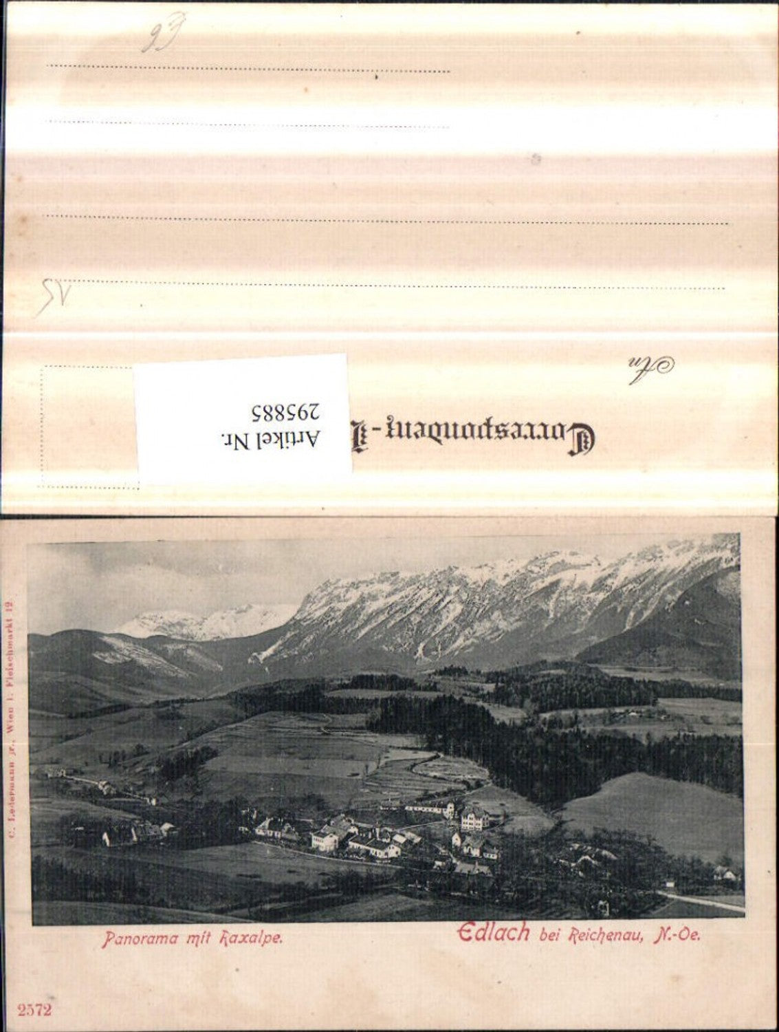 295885,Edlach b. Reichenau Totale Panorama m. Raxalpe Bergkulisse