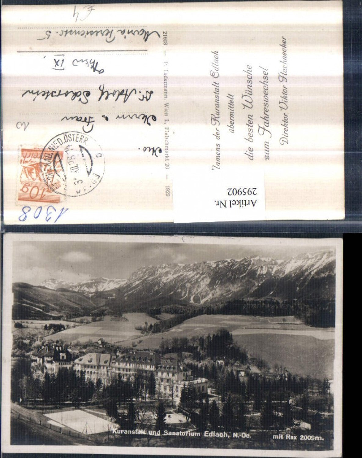 295902,Edlach Kuranstalt u. Sanatorium geg. Rax Bergkulisse