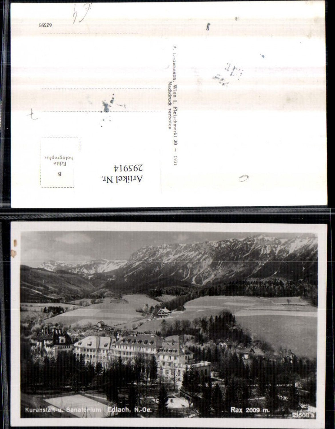 295914,Edlach Kuranstalt u. Sanatorium geg. Rax Bergkulisse