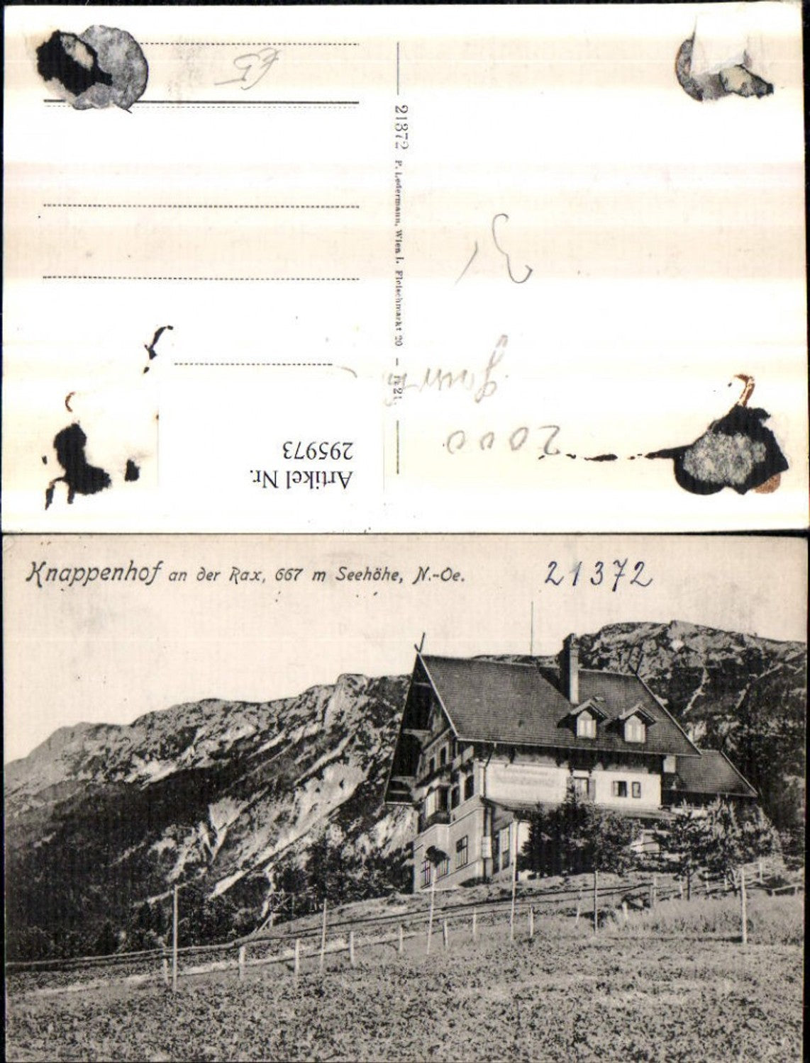 295973,Alpenhotel Knappenhof an d. Rax b. Edlach Bergkulisse