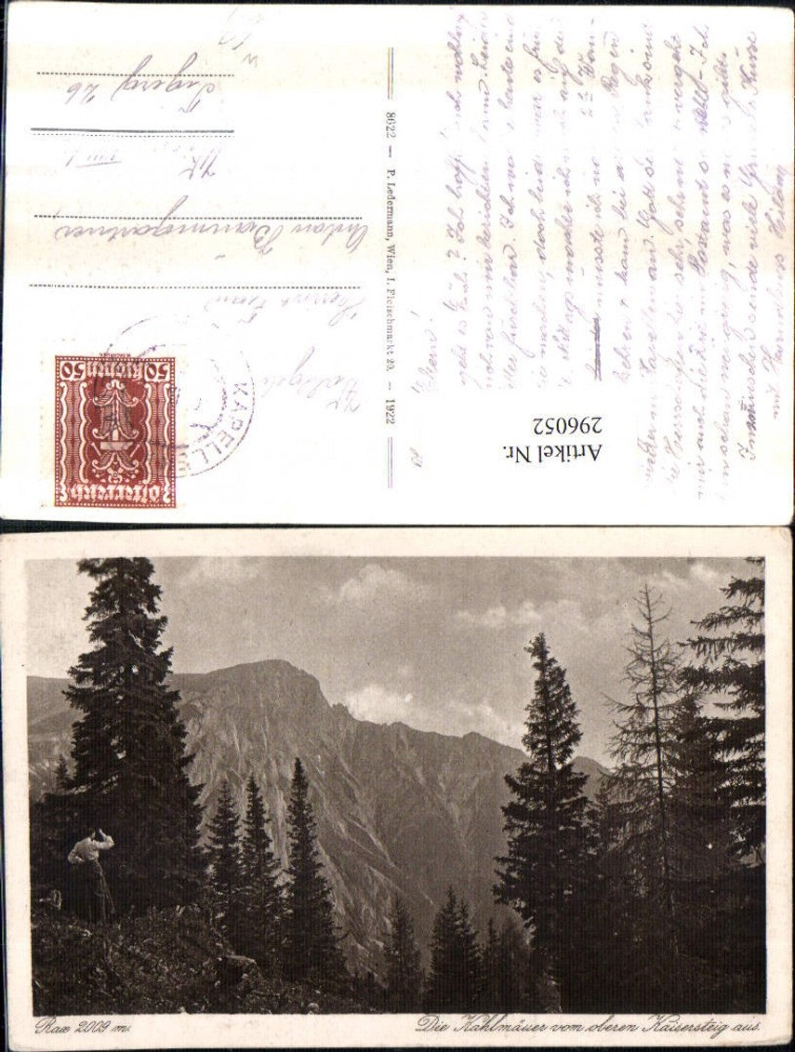 296052,Rax Kahlmäuer vom Kaisersteig aus Bergkulisse b. Naßwald Schwarzau