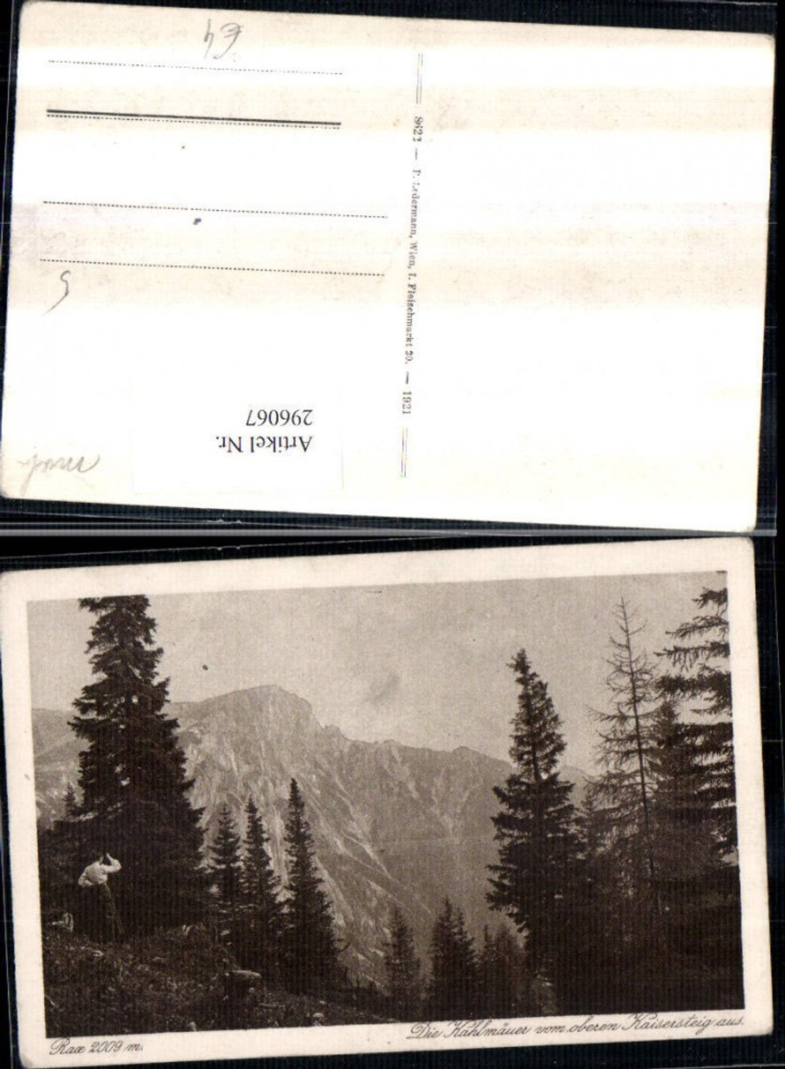 296067,Rax Kahlmäuer vom Kaisersteig Bergkulisse b. Naßwald Schwarzau