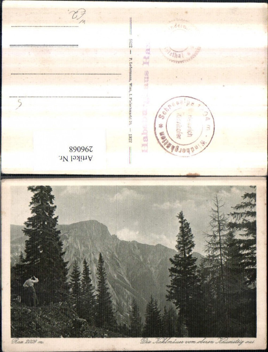 296068,Rax Kahlmäuer vom Kaisersteig Bergkulisse b. Naßwald Schwarzau