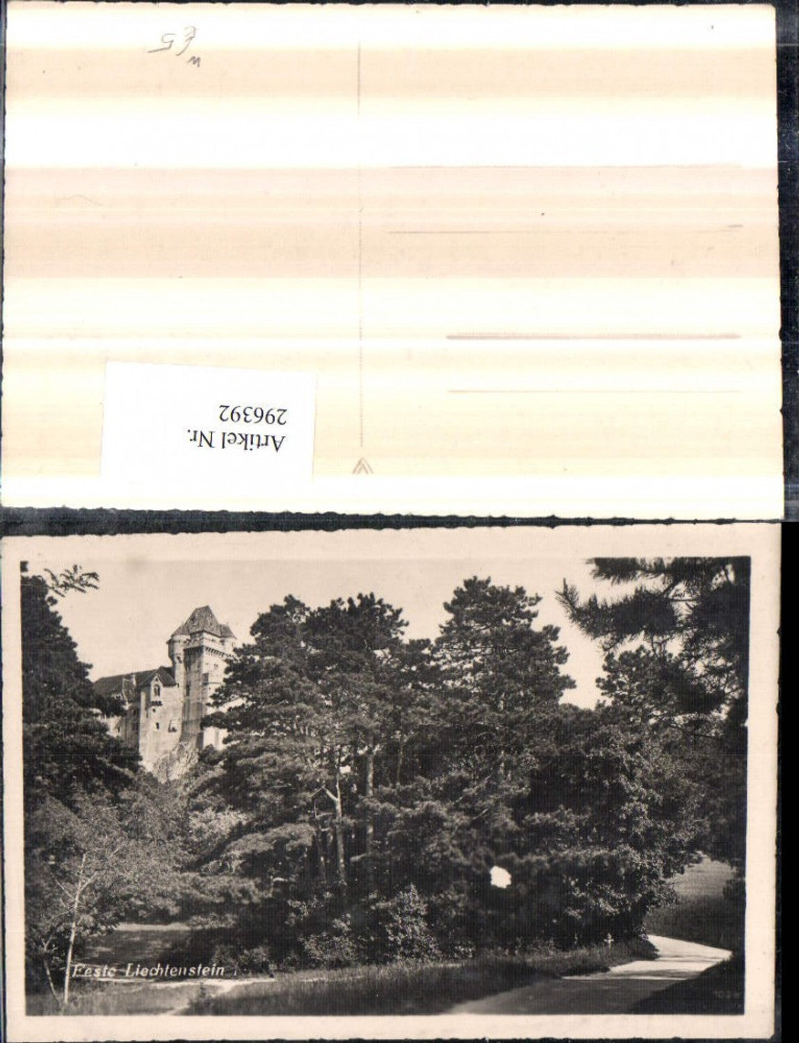 296392,Feste Burg Liechtenstein b. Maria Enzersdorf