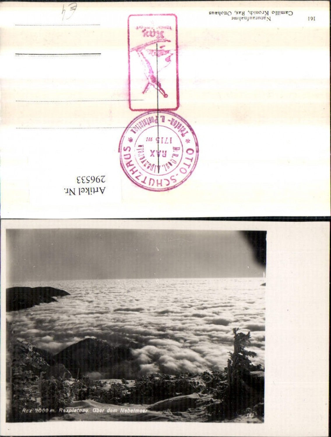 296533,Rax Raxplateau b. Reichenau Nebelmeer