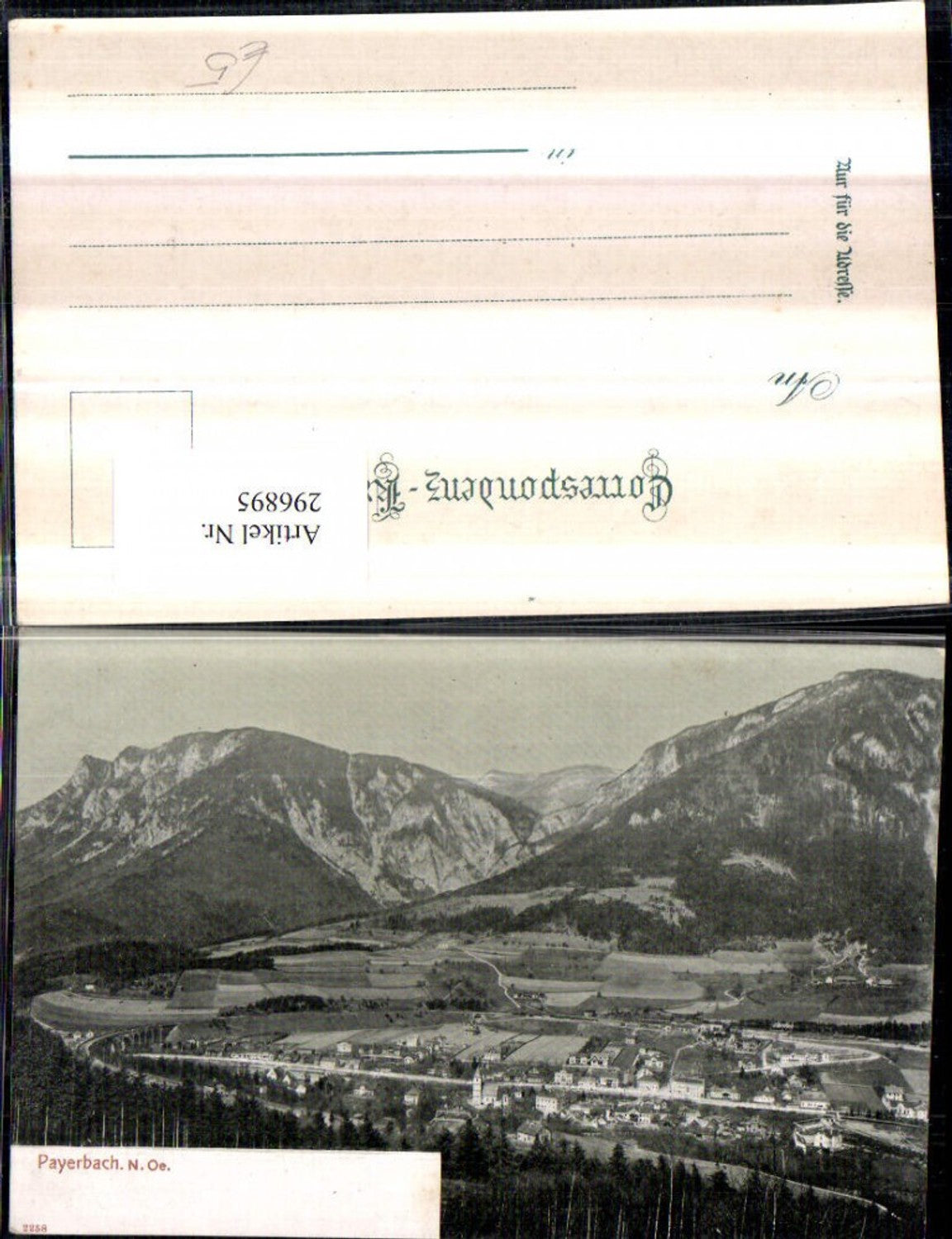296895, Payerbach Total mountain scenery