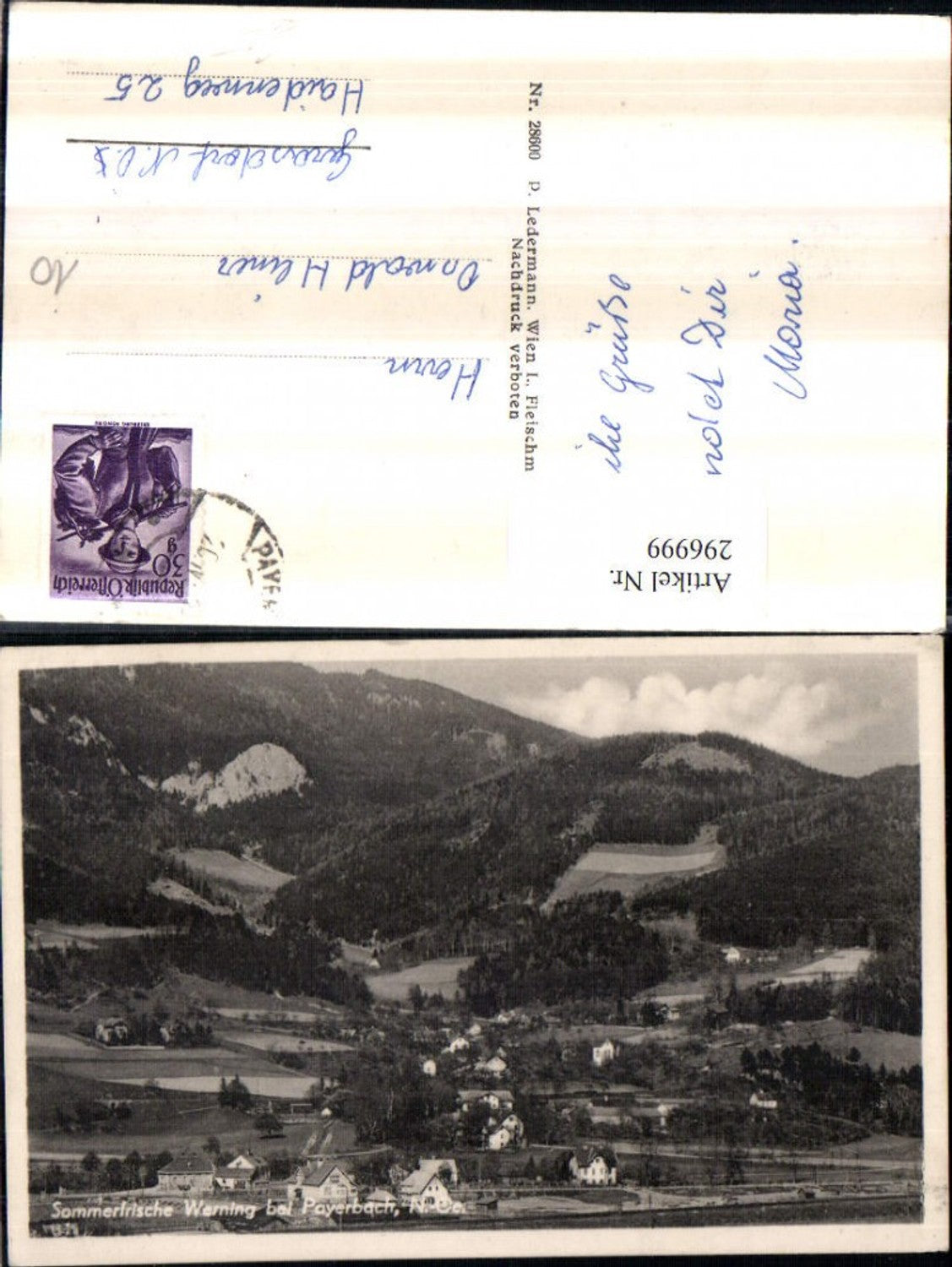 296999,Werning Totale b. Payerbach