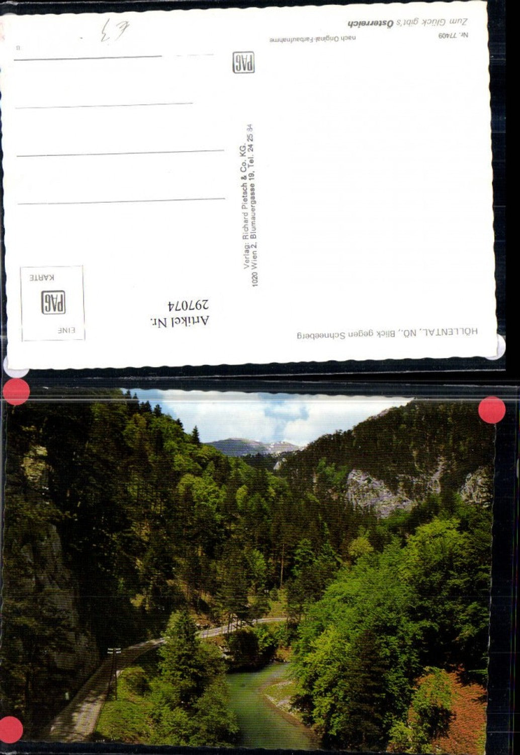 297074,Höllental Blick geg. Schneeberg b. Naßwald Schwarzau