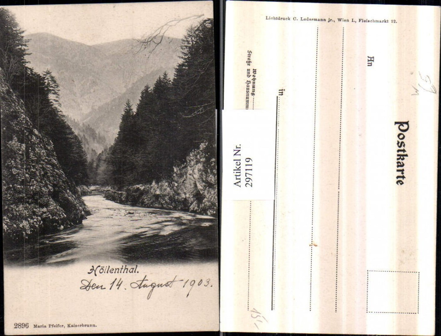 297119,Höllenthal Höllental Partie b. Naßwald Schwarzau im Gebirge