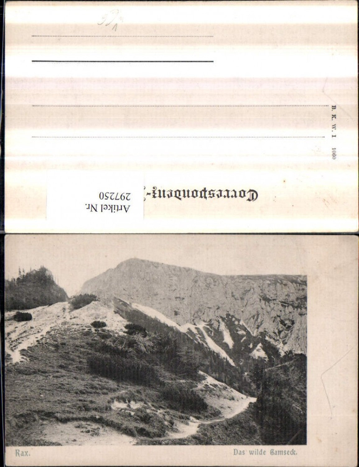 297250,Rax Das wilde Gamseck Bergkulisse b. Schwarzau pub Brüder Kohn B.K.W.I. 1060