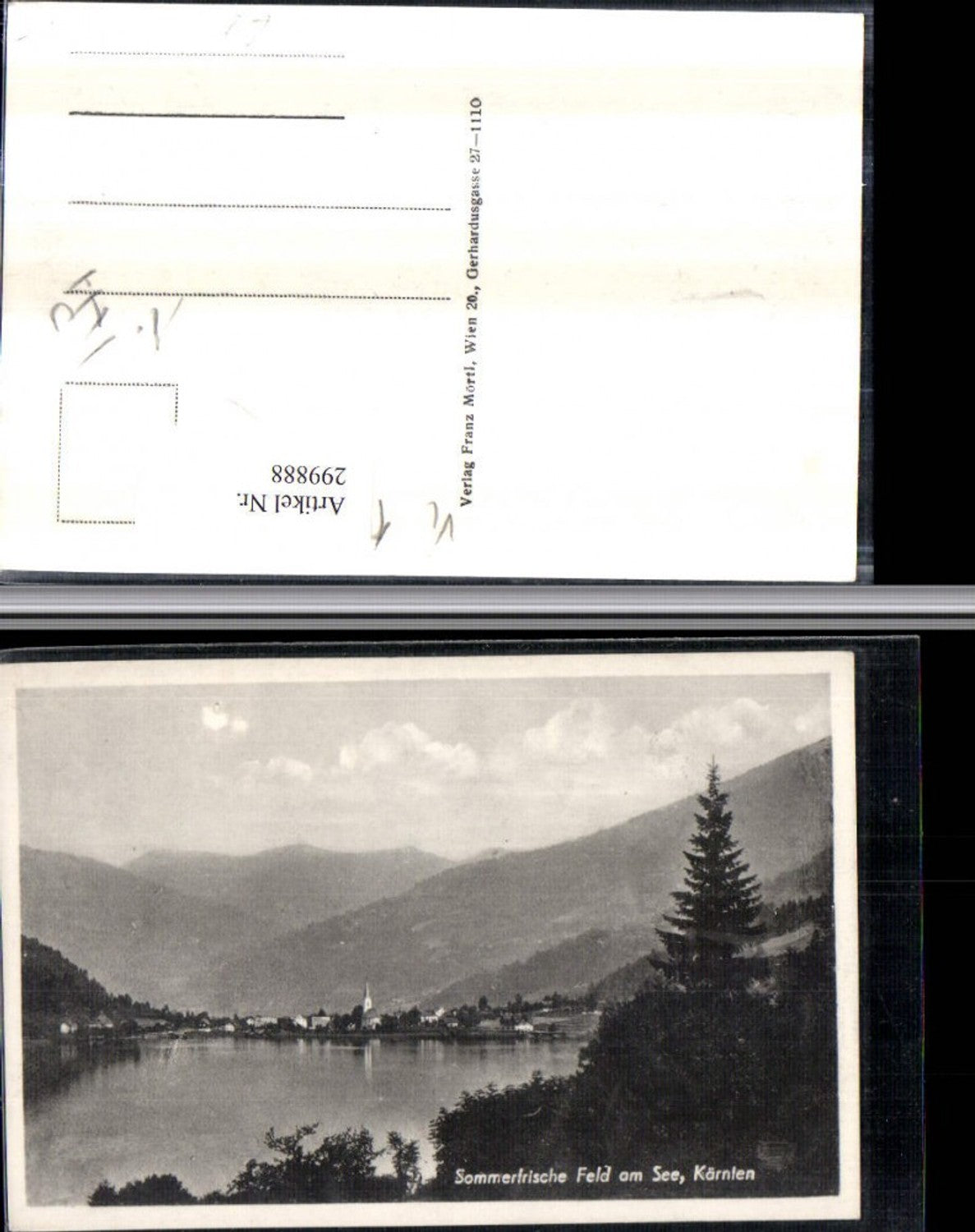 299888,Feld am See Totale Bergkulisse