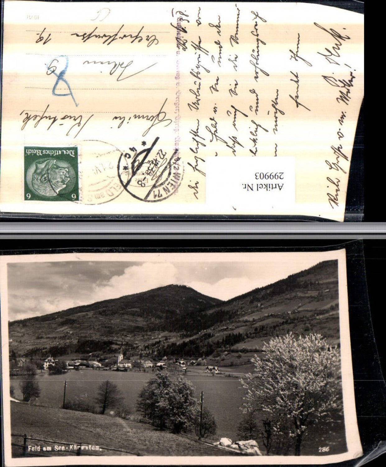299903,Blick auf Feld am See Totale