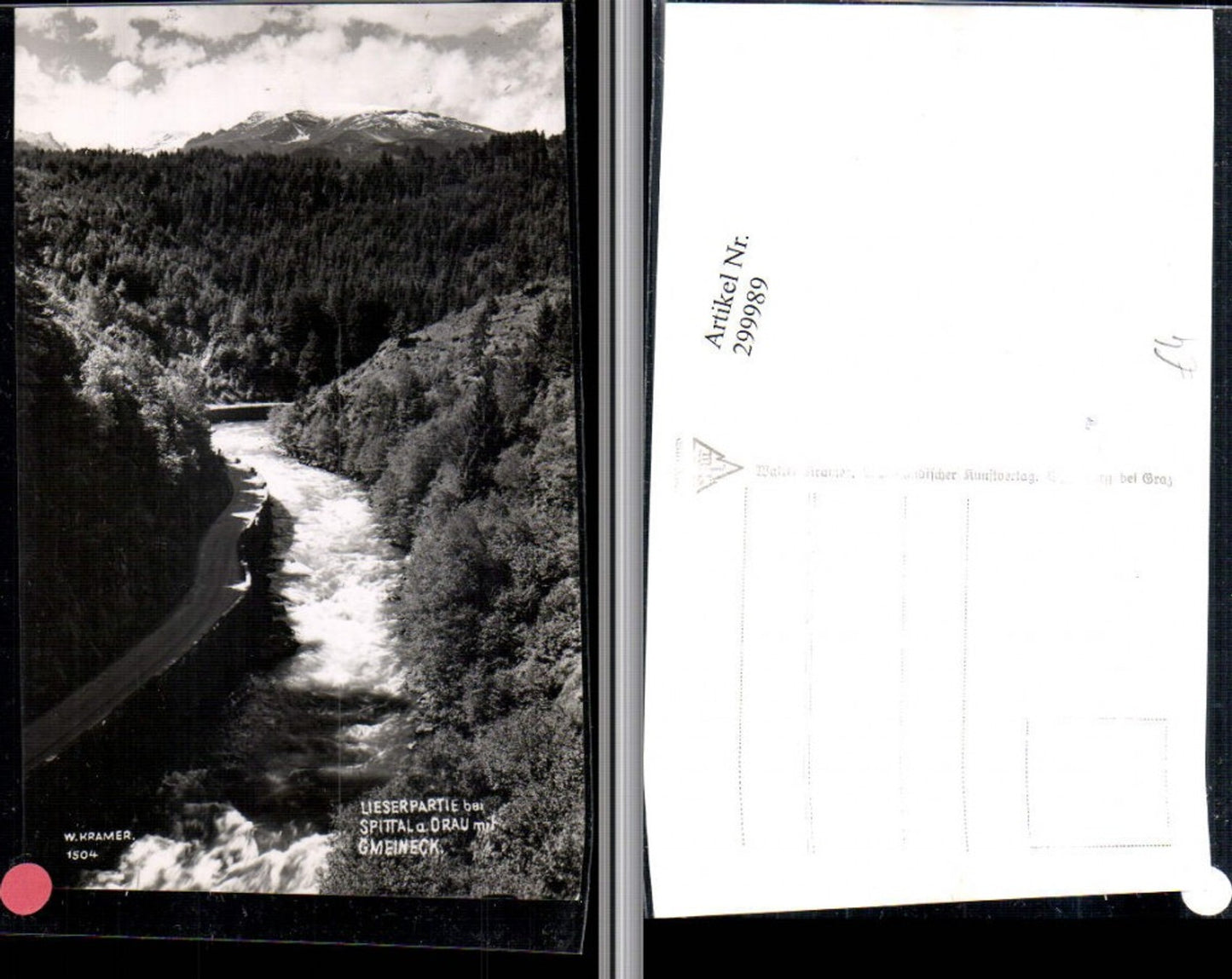 299989,Lieserpartie Fluss b. Spittal an d. Drau m. Gmeineck Bergkulisse