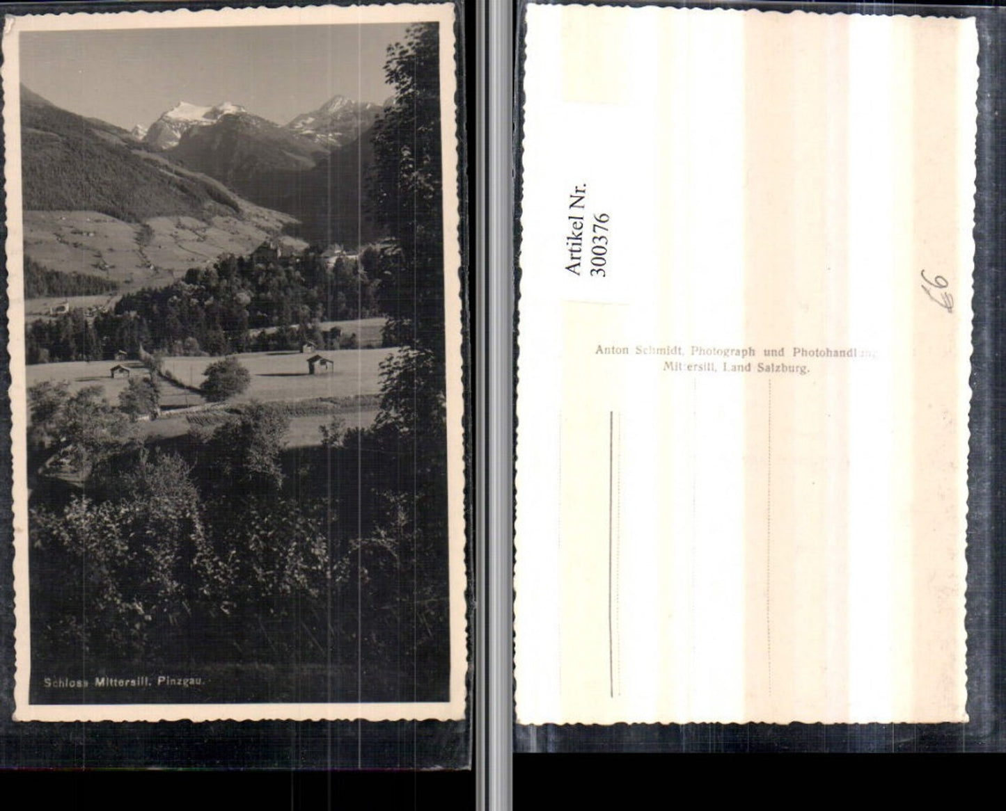 300376,Schloss Mittersill im Pinzgau Bergkulisse