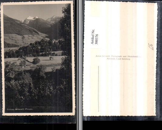 300376,Schloss Mittersill im Pinzgau Bergkulisse