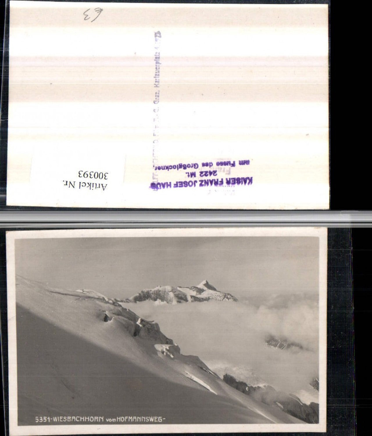 300393,Wiesbachhorn vom Hofmannsweg Bergkulisse b. Fusch an d. Glocknerstraße