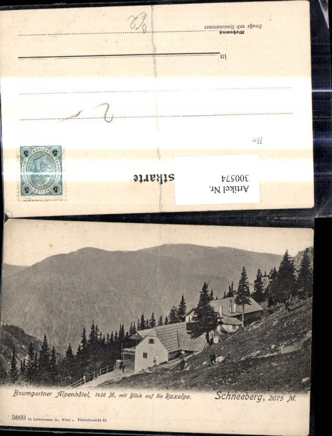 300574,Baumgartner Alpenhotel m. Blick a. d. Raxalpe Schneeberg Reichenau a. d. Rax Puchberg