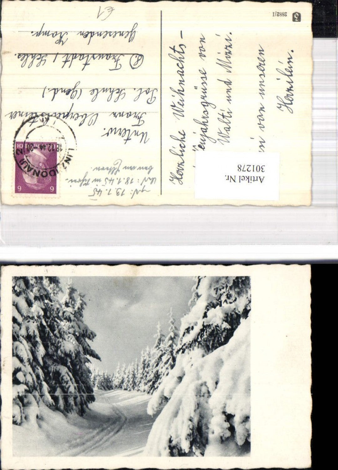 301278, Artist Ak Way of the Winter Forest Passepartout