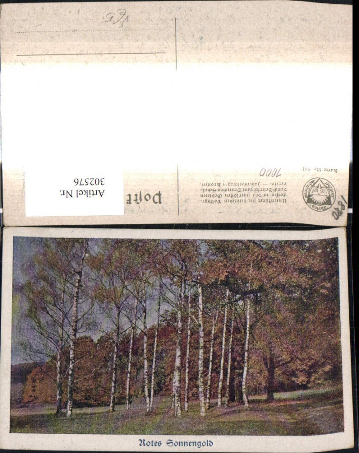 302576,Deutscher Schulverein 881 Künstler Ak Rotes Sonnengold Birken Bäume i. Herbstfärbung