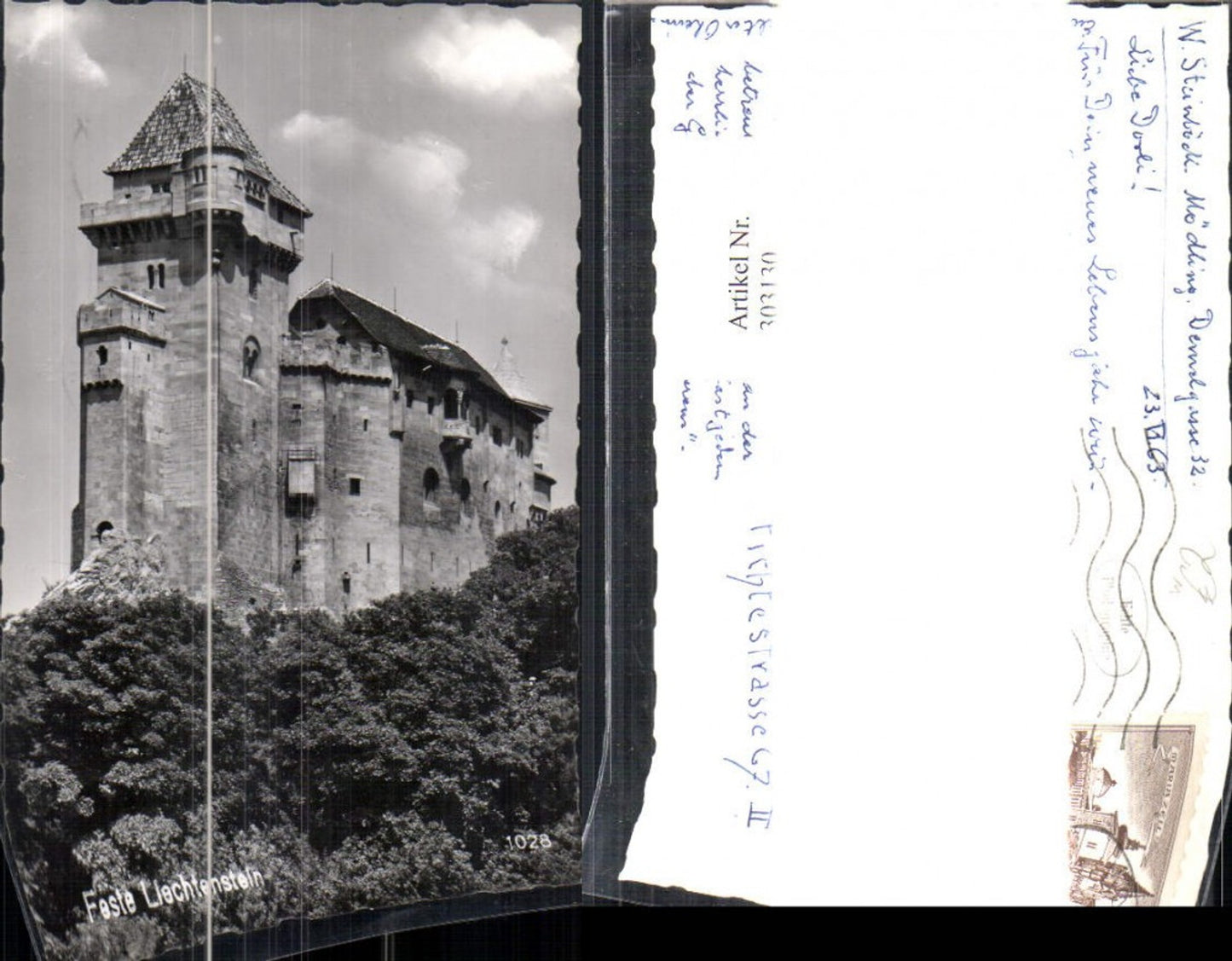 303130,Foto Burg Feste Liechtenstein Maria Enzersdorf